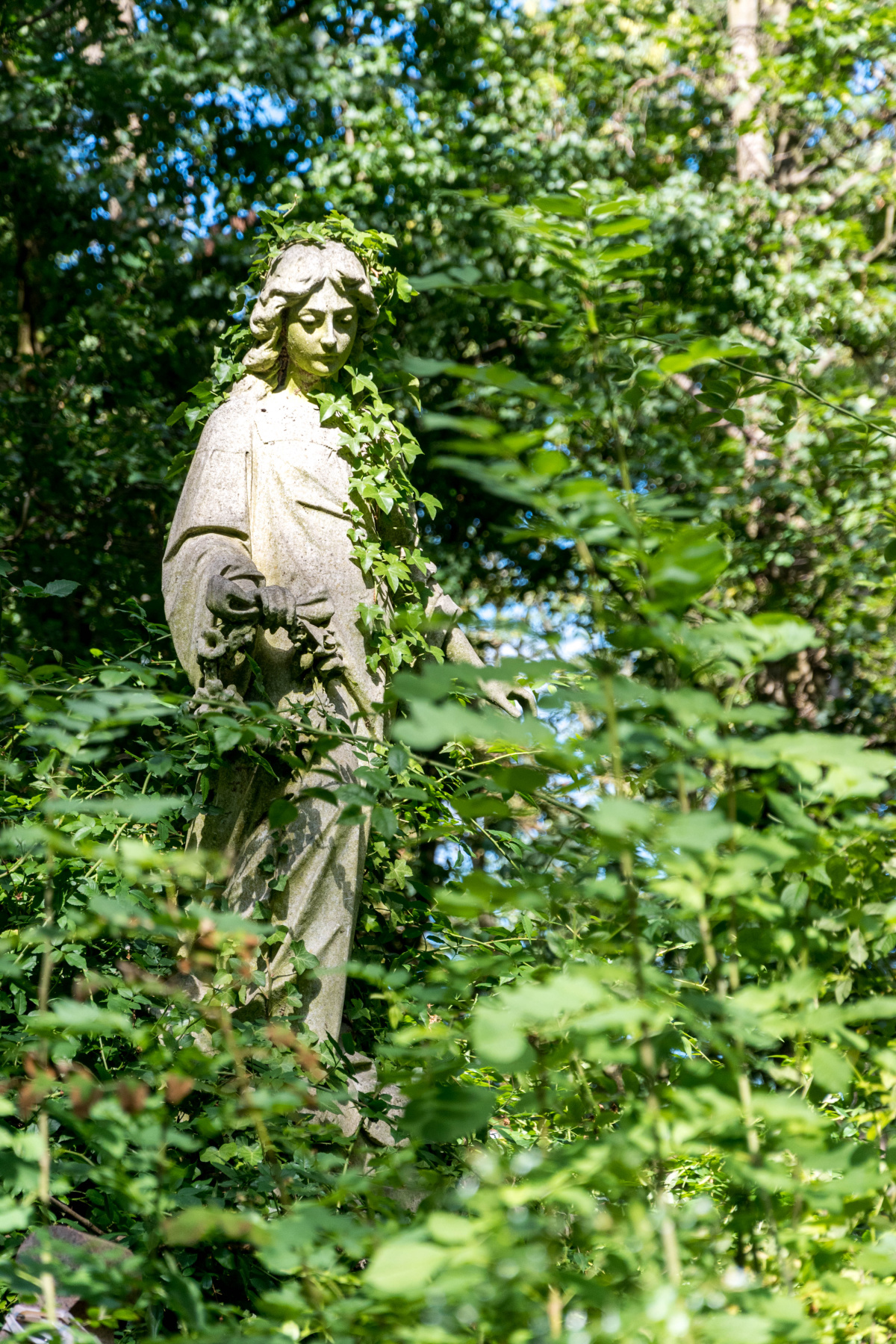 Angel in Ivy