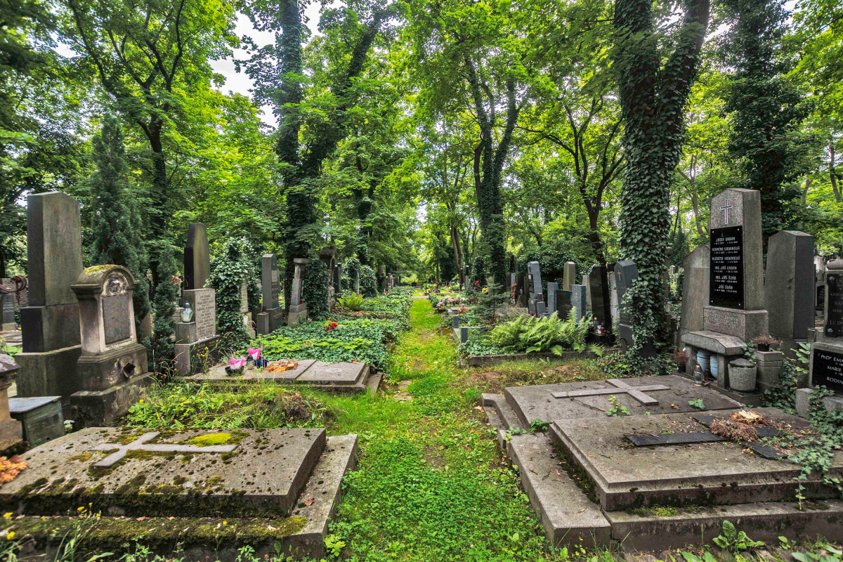 Hřbitov Malvazinky