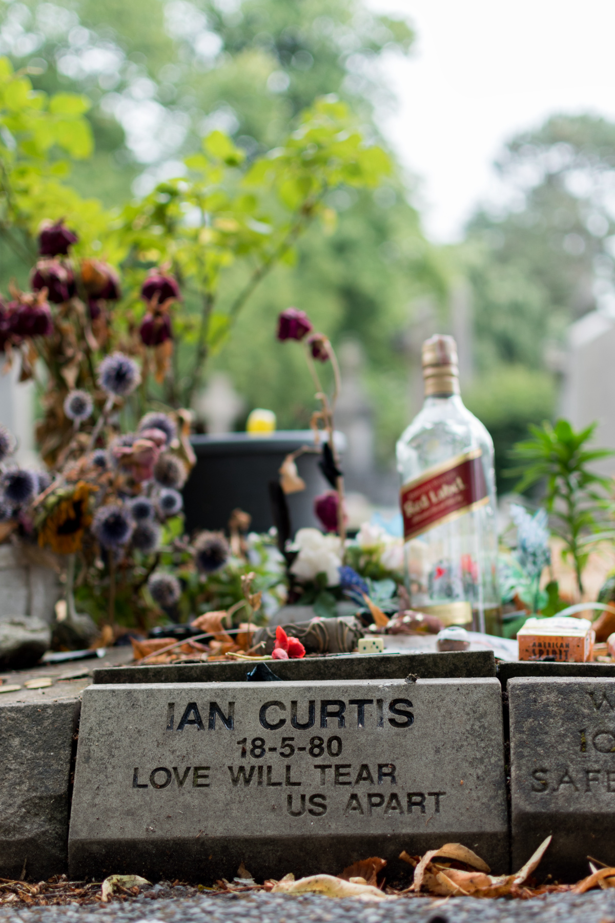 Ian Curtis - Summer 2018