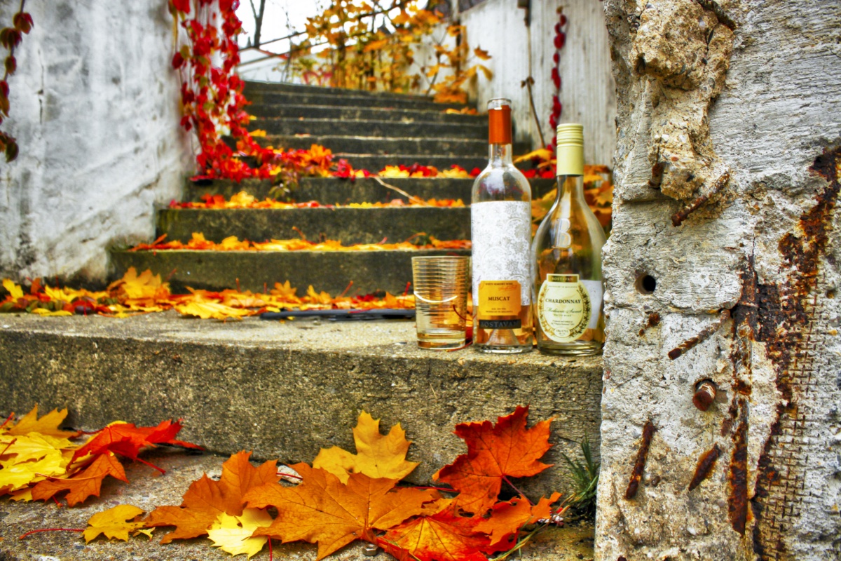 Autumn Celebration